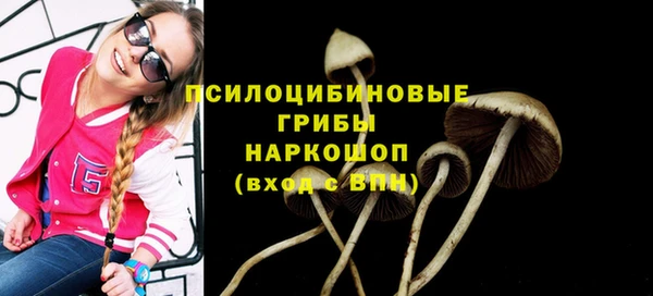марки lsd Горно-Алтайск