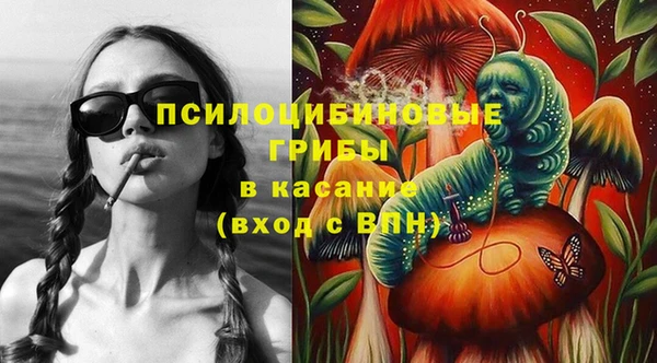 герыч Вяземский